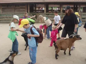 Kontaktní ZOO