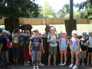 v ZOO