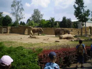 v ZOO