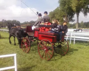 kocar2