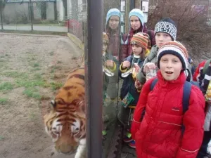 zoo 4