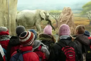 zoo 8