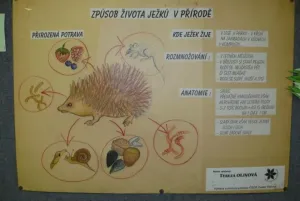 Život jezků v přírodě