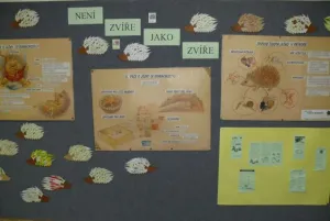 Naše ježčí nástěnka