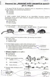 strana 1 pl
