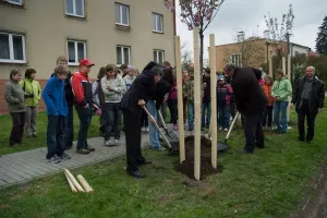 okouknout, jak se to správně dělá...