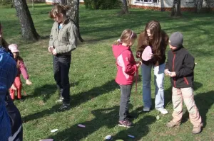 Search for eggs