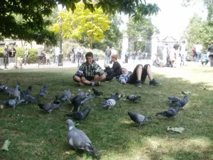 6 St. James park