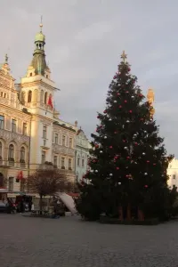 Vánoční strom